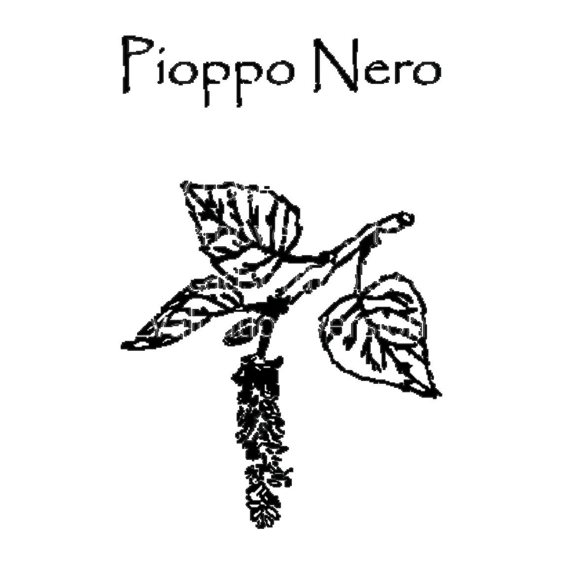 piopponero